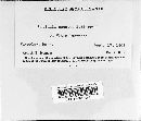 Erysiphe necator image