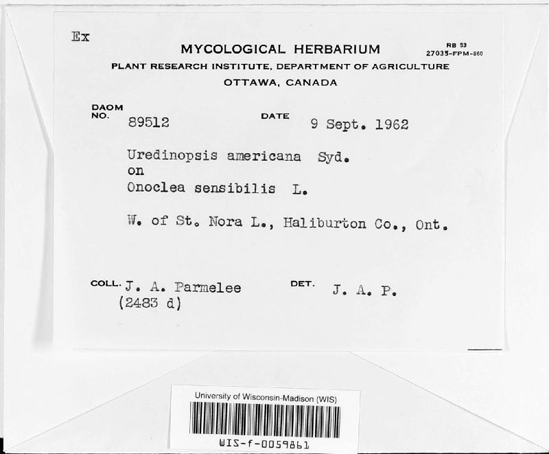 Uredinopsis americana image