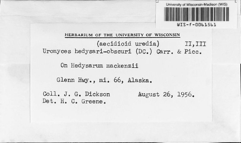 Uromyces hedysari-obscuri image