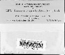Uromyces appendiculatus image
