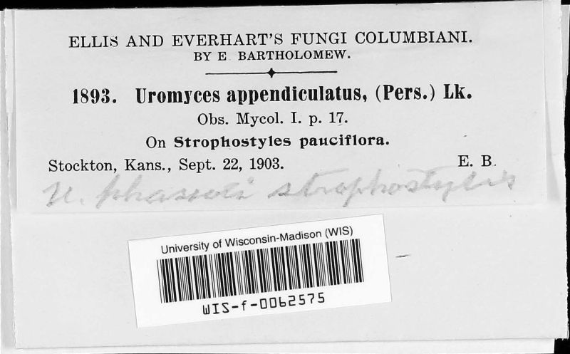 Uromyces appendiculatus image