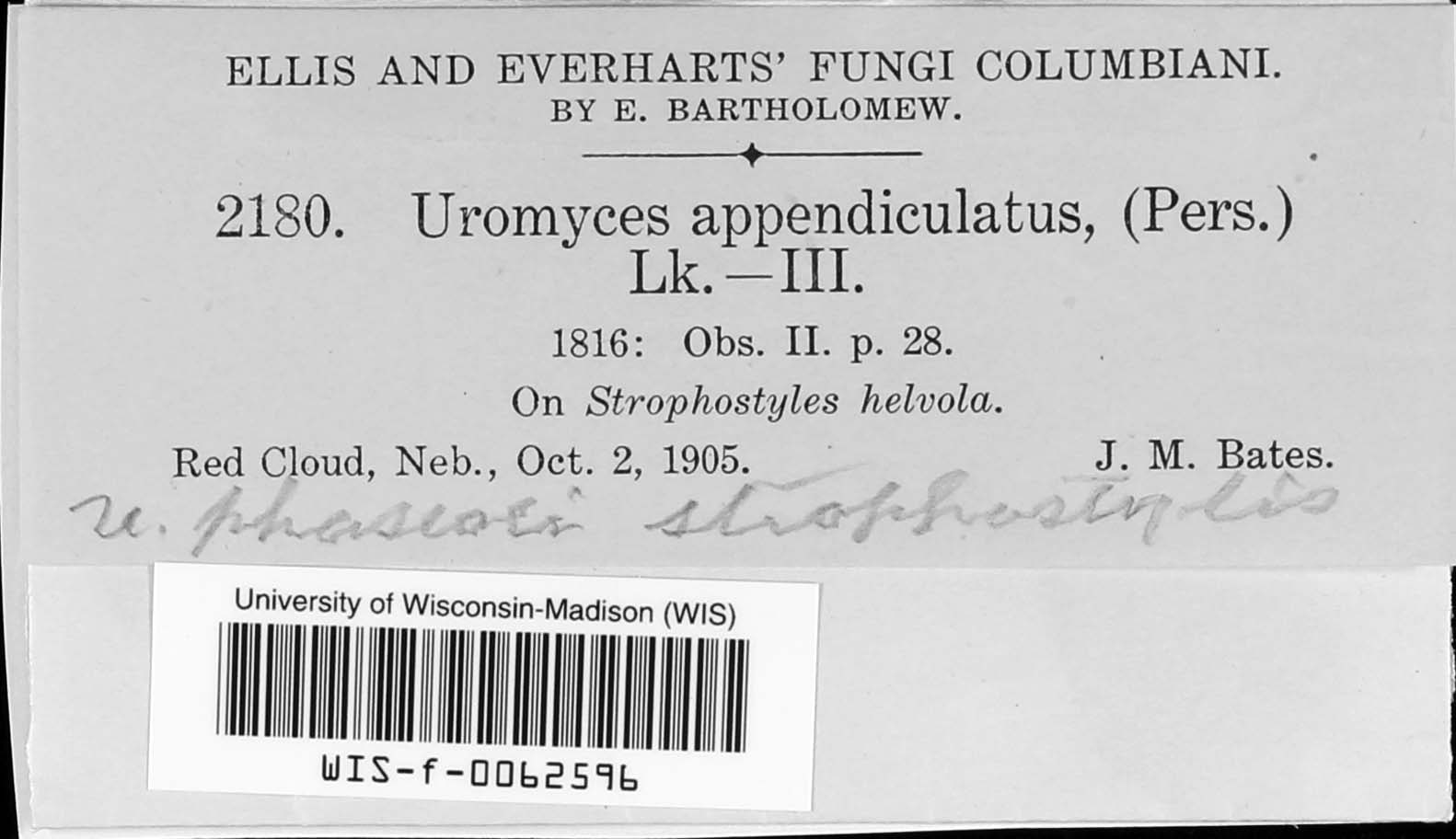 Uromyces appendiculatus image