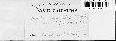 Tranzscheliella hypodytes image