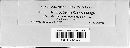 Ustilago levis image