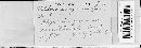 Ustilago filiformis image