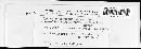 Albugo candida image