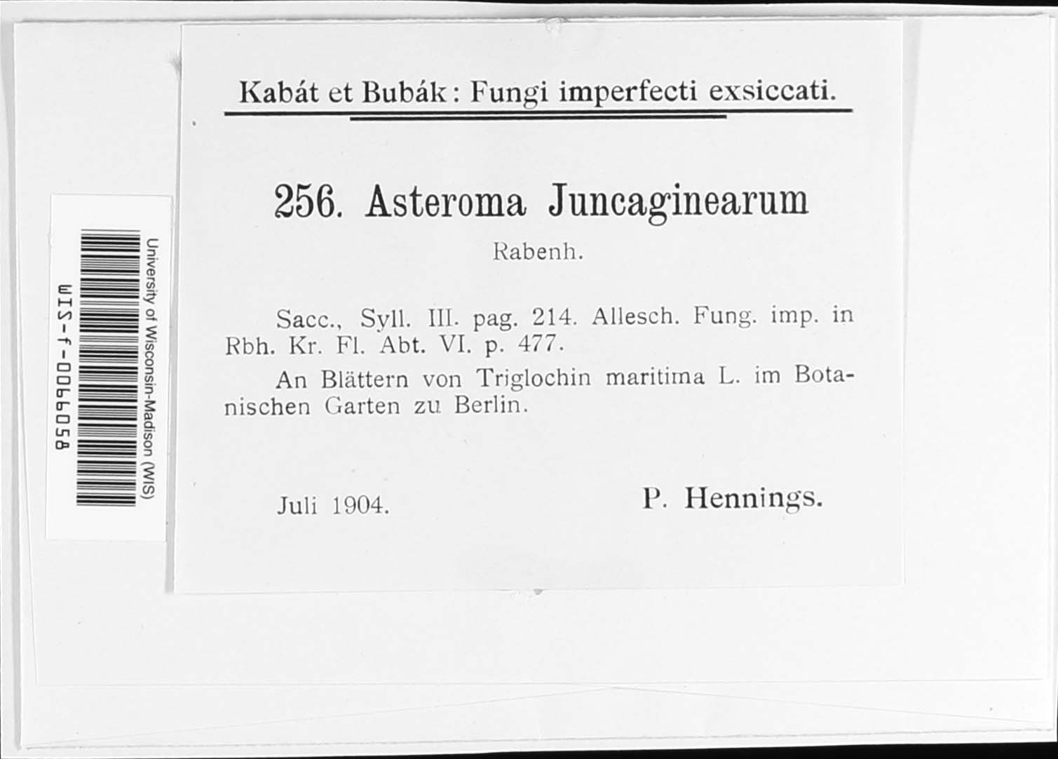 Venturia juncaginearum image