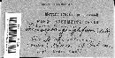 Bremia lactucae image