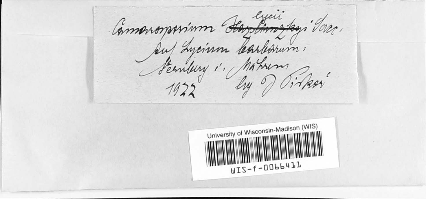Camarosporium lycii image