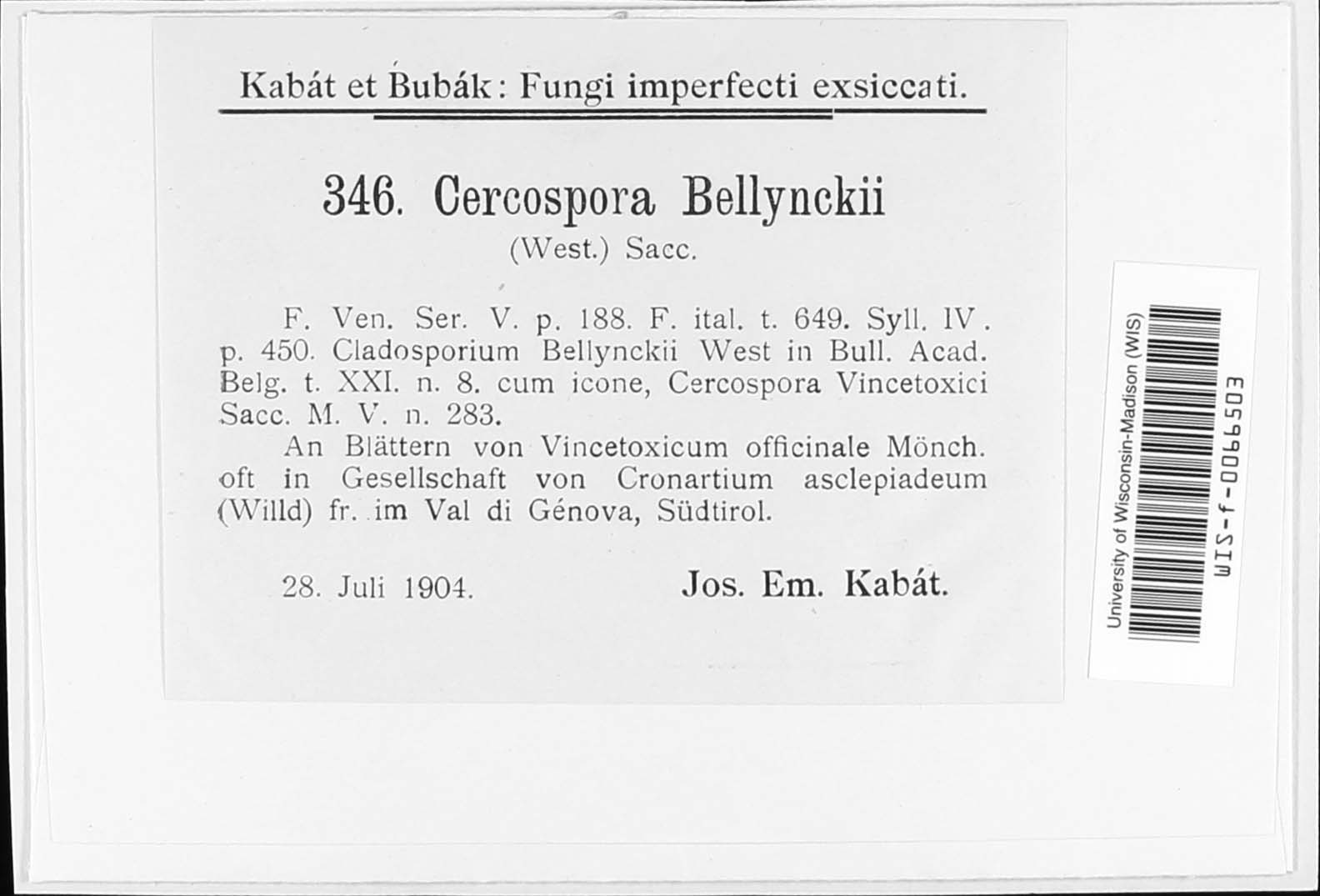 Mycovellosiella bellynckii image