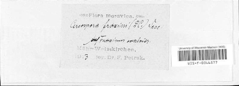 Passalora fraxini image