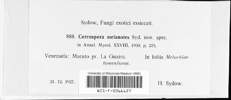 Cercospora melanotes image
