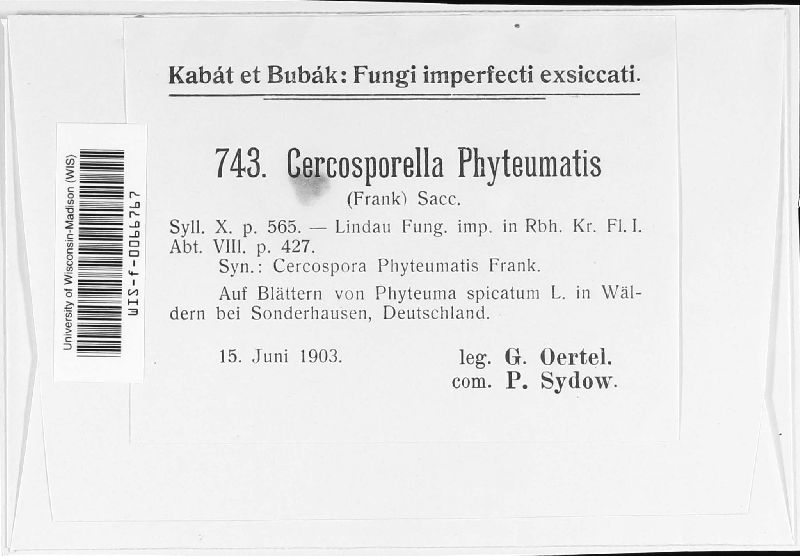 Cercosporella phyteumatis image