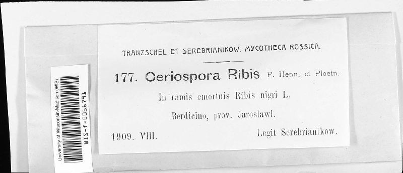 Ceriospora ribis image
