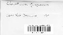 Chaetomium globosum image