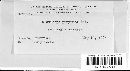 Claviceps purpurea image