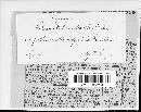 Coleroa alchemillae image