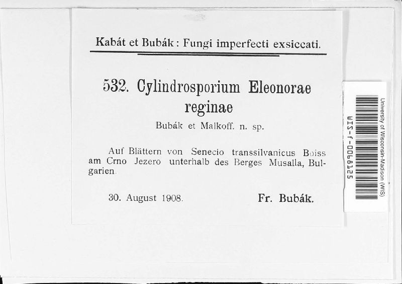Cylindrosporium eleonorae-reginae image