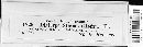 Diatrype stigma image