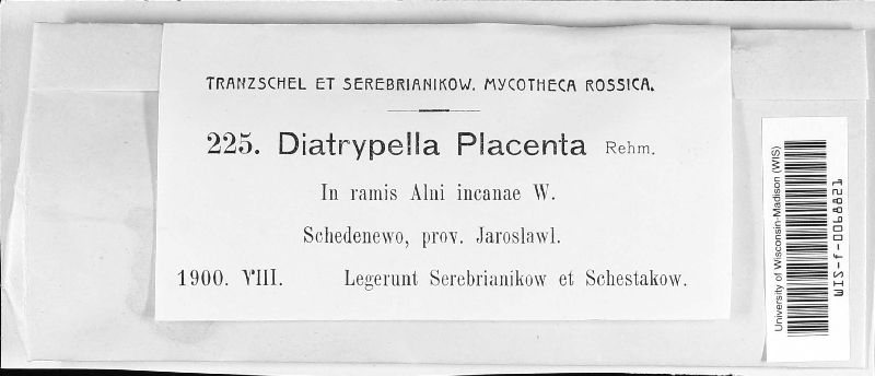 Diatrypella placenta image