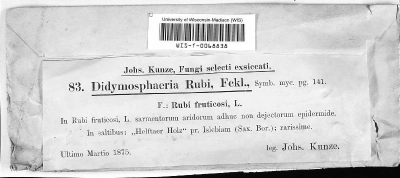 Didymosphaeria rubi image