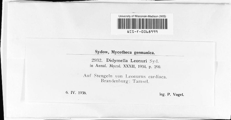 Didymella leonuri image