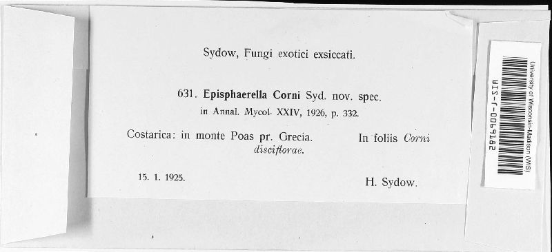 Episphaerella corni image