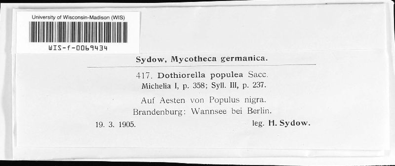 Dothiorella populea image