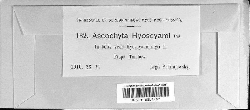 Ascochyta hyoscyami image