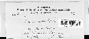 Blumeria graminis image