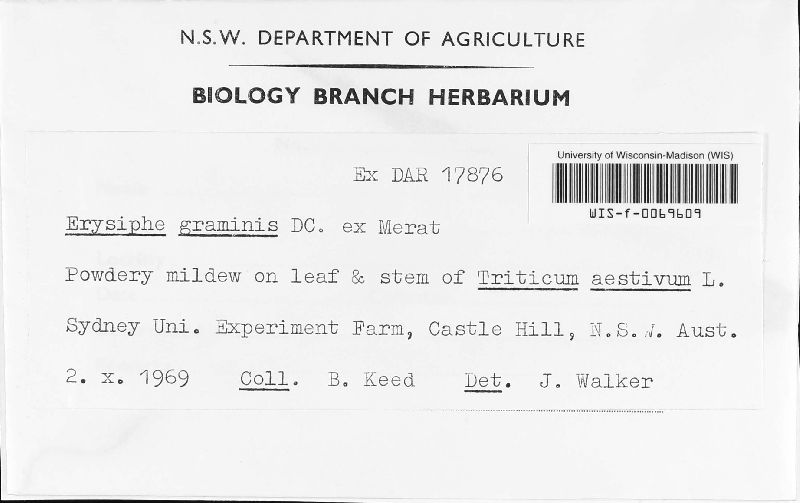 Blumeria graminis image