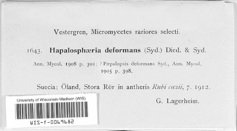 Hapalosphaeria deformans image