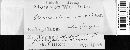 Gloeosporium salicis image