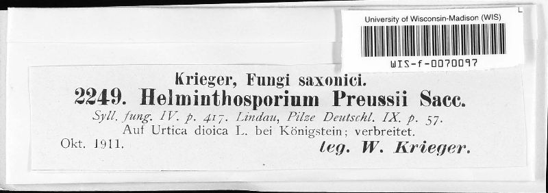 Helminthosporium preussii image