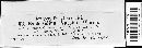 Exobasidium vaccinii image