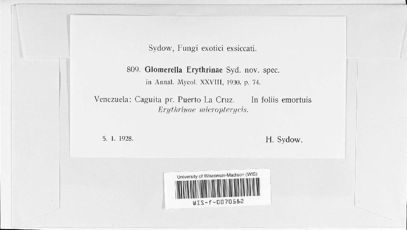 Glomerella erythrinae image