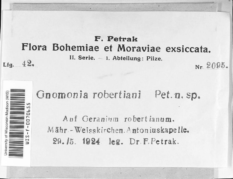 Gnomonia robertiani image