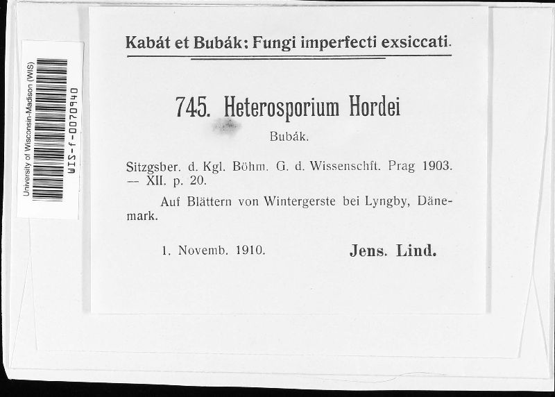 Heterosporium hordei image