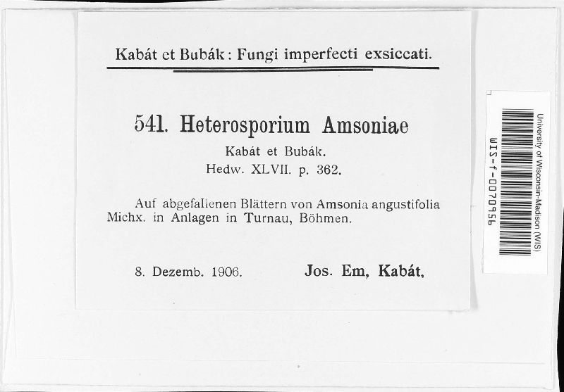 Heterosporium amsoniae image