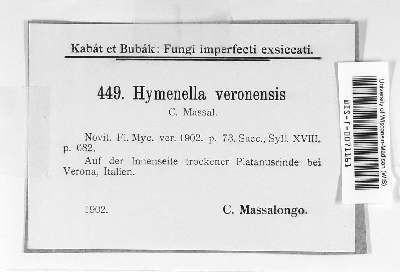 Hymenella veronensis image