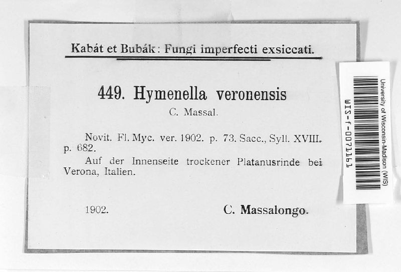 Hymenella veronensis image