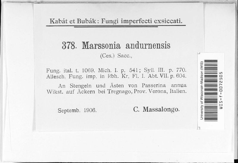 Marssonina andurnensis image