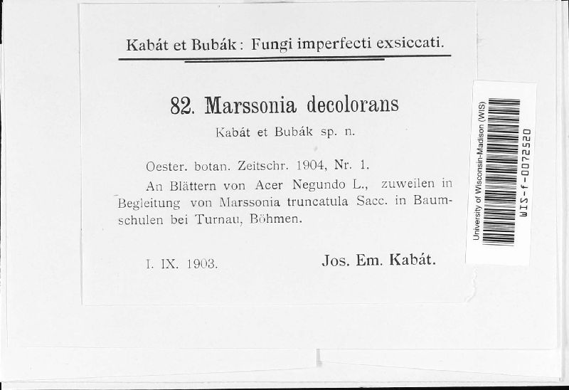 Marssonina decolorans image