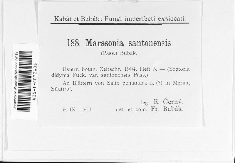 Marssonina santonensis image