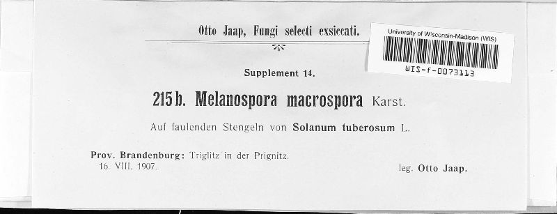 Melanospora macrospora image