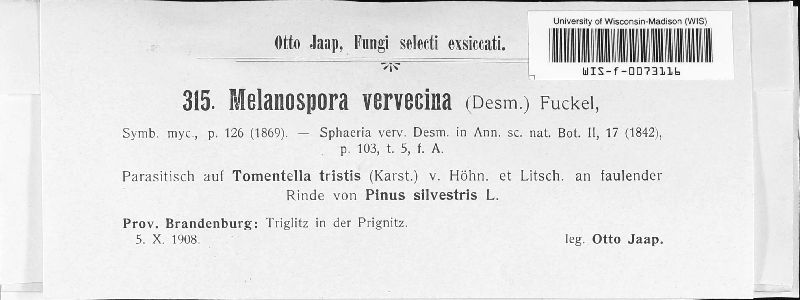 Melanospora caprina image
