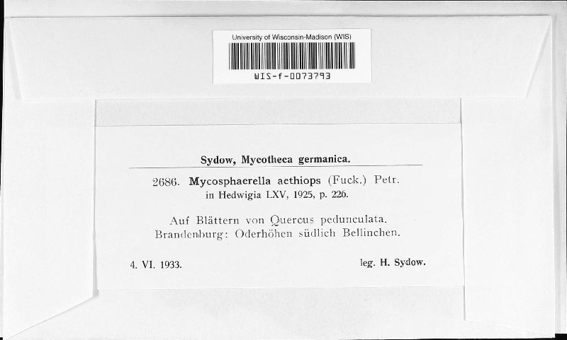 Mycosphaerella aethiops image