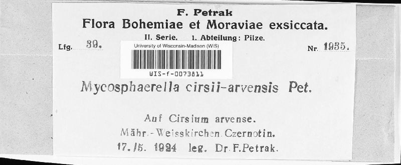 Mycosphaerella cirsii-arvensis image