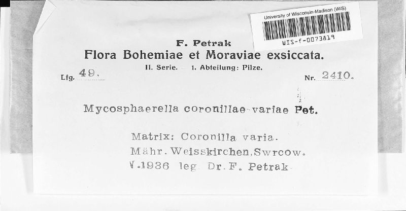 Mycosphaerella coronillae-variae image