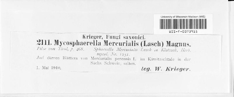 Mycosphaerella mercurialis image